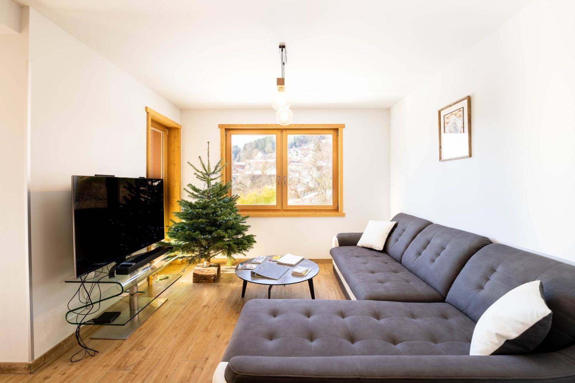 Apartment Moho Mountain