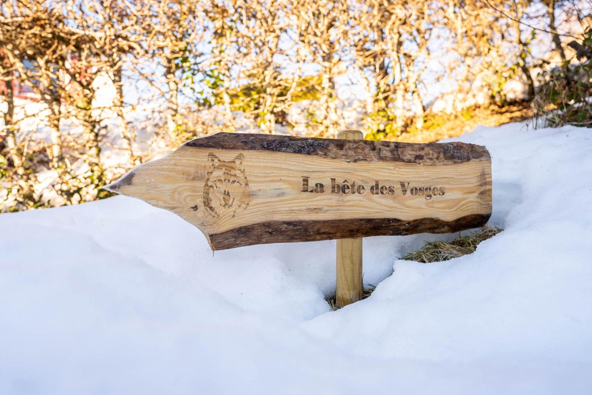Moho Mountain Gerardmer