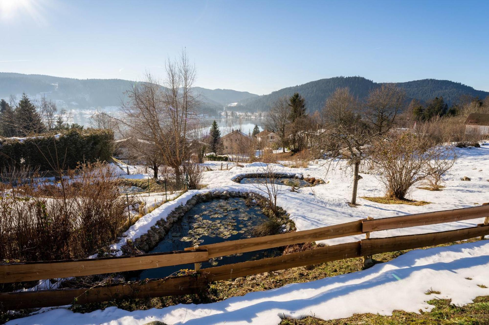 Moho Mountain Gerardmer